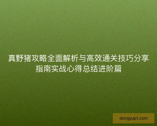 真野猪攻略全面解析与高效通关技巧分享指南实战心得总结进阶篇
