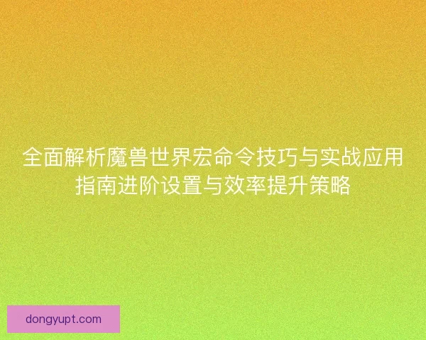 全面解析魔兽世界宏命令技巧与实战应用指南进阶设置与效率提升策略